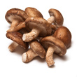 mushrooms.jpg